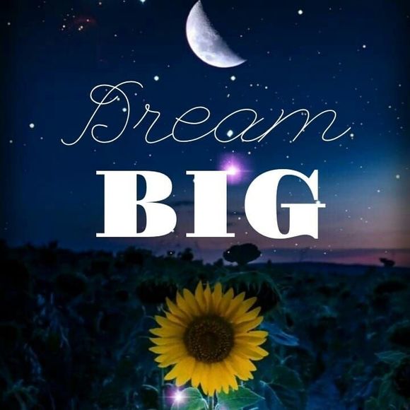 Meet your Posher, Amanda - Picture 1 of 1